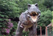 Dinosaur park.gif